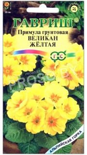 Примула грунтовая Великан желтый