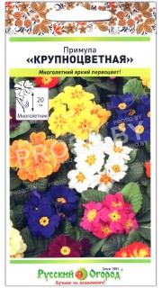 Примула Крупноцветная, смесь