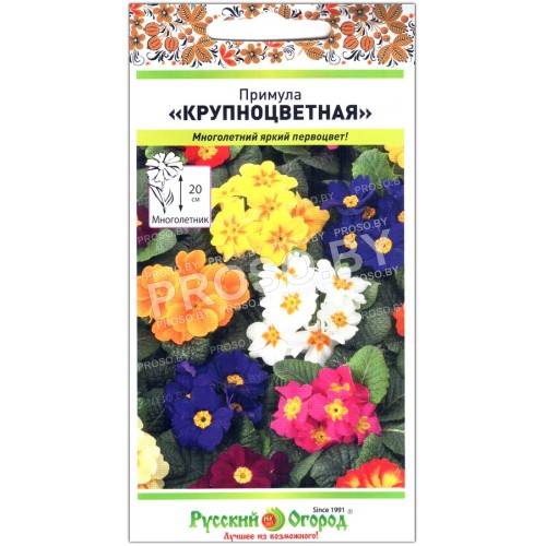 Примула Крупноцветная, смесь
