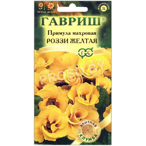 Примула махровая Роззи желтая