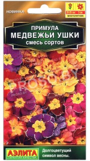 Примула Медвежьи ушки, смесь
