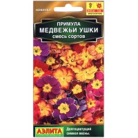 Примула Медвежьи ушки, смесь