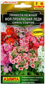 Примула нежная Моя прекрасная леди, смесь