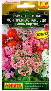 Примула нежная Моя прекрасная леди, смесь
