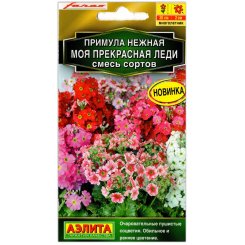 Примула нежная Моя прекрасная леди, смесь