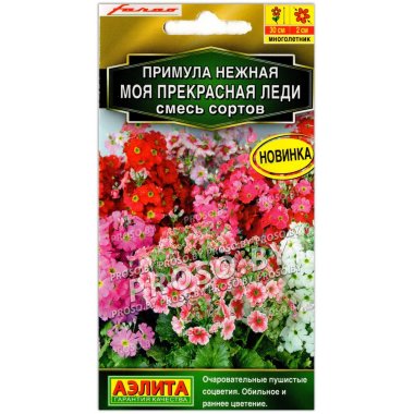 Примула нежная Моя прекрасная леди, смесь