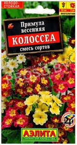 Примула весенняя Колоссеа, смесь