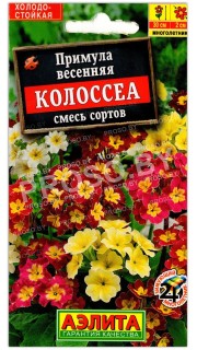 Примула весенняя Колоссеа, смесь