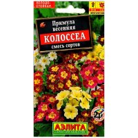 Примула весенняя Колоссеа, смесь