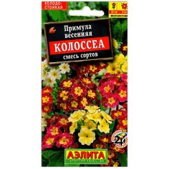 Примула весенняя Колоссеа, смесь