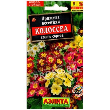 Примула весенняя Колоссеа, смесь