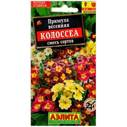 Примула весенняя Колоссеа, смесь
