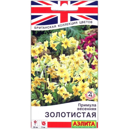 Примула весенняя Золотистая