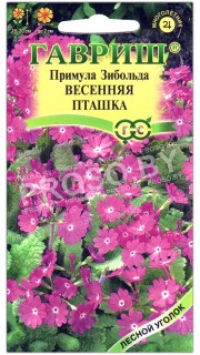 Примула Зибольда Весенняя пташка