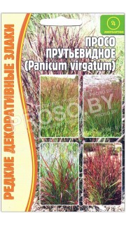 Просо декоративное Прутьевидное