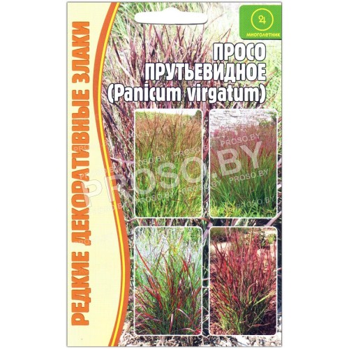 Просо декоративное Прутьевидное