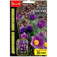 Прострел Китайский
