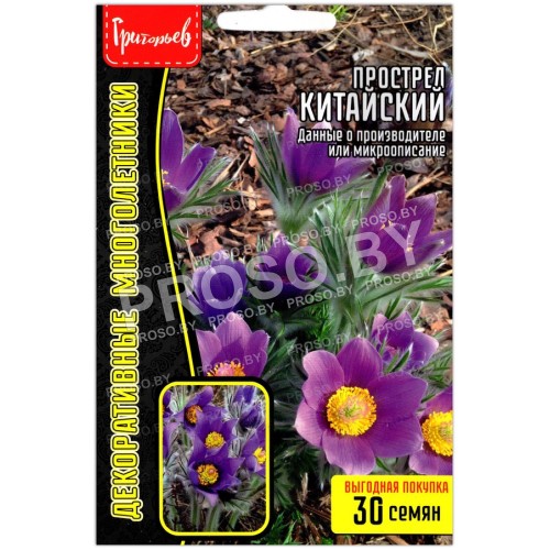 Прострел Китайский