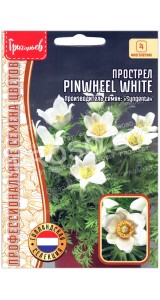 Прострел Pinwheel white