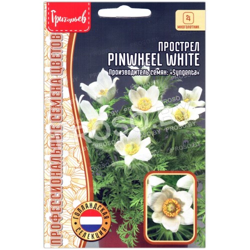 Прострел Pinwheel white