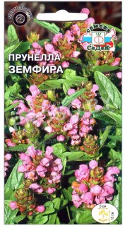 Прунелла Земфира