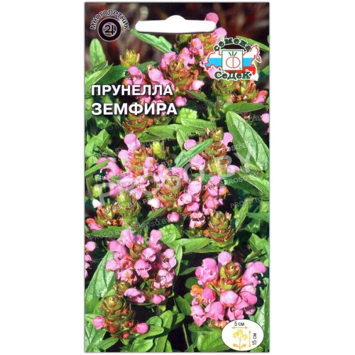Прунелла Земфира