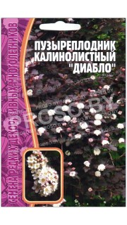 Пузыреплодник калинолистный Диабло