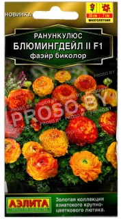 Ранункулюс Блюмингдейл II фаэйр биколор F1