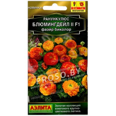 Ранункулюс Блюмингдейл II фаэйр биколор F1