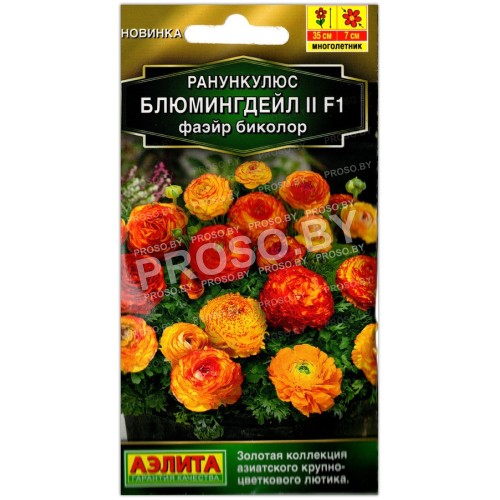 Ранункулюс Блюмингдейл II фаэйр биколор F1