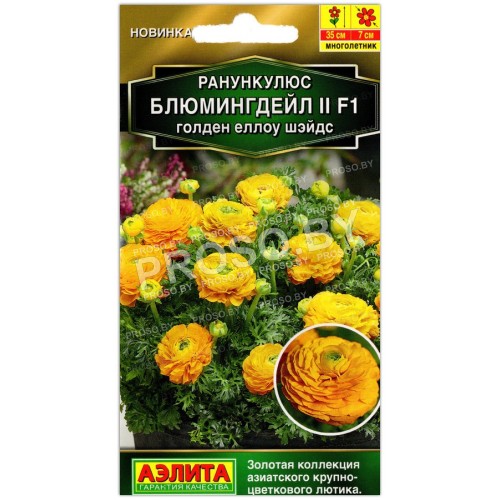 Ранункулюс Блюмингдейл II голден еллоу шэйдс F1