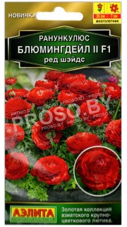 Ранункулюс Блюмингдейл II ред шэйдс F1