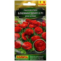 Ранункулюс Блюмингдейл II ред шэйдс F1