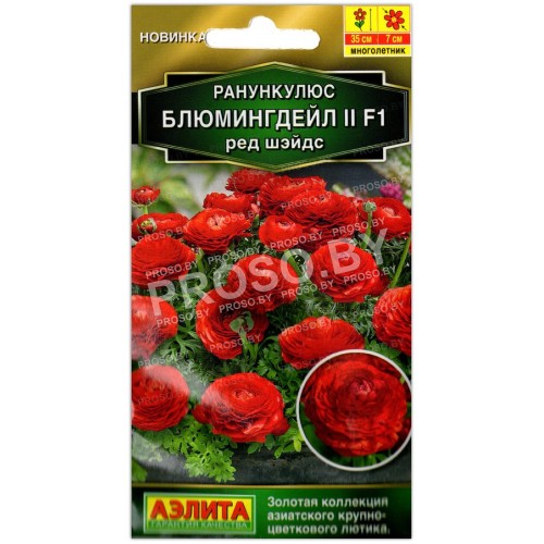 Ранункулюс Блюмингдейл II ред шэйдс F1
