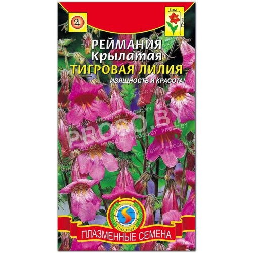 Реймания крылатая Тигровая лилия
