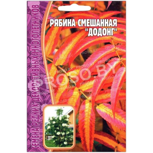 Рябина смешанная Додонг