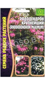 Рододендрон Крупнейший