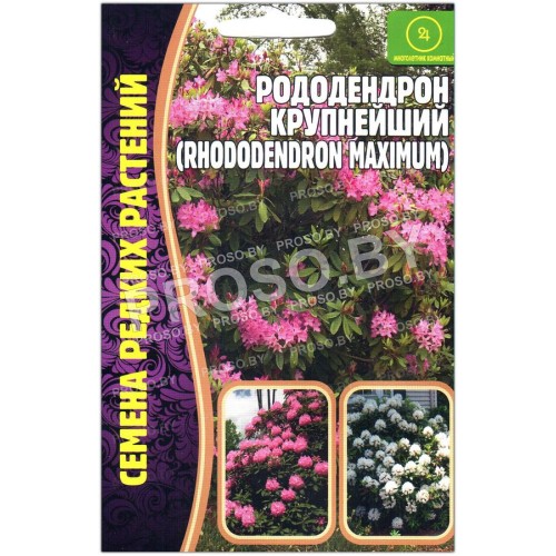 Рододендрон Крупнейший