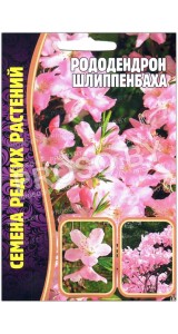 Рододендрон Шлиппенбаха