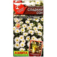 Ромашка римская Сладкий сон