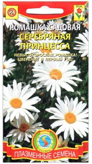 Ромашка садовая Серебряная принцесса