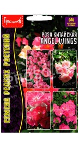 Роза китайская Angel wings