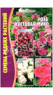 Роза кустовая Микс
