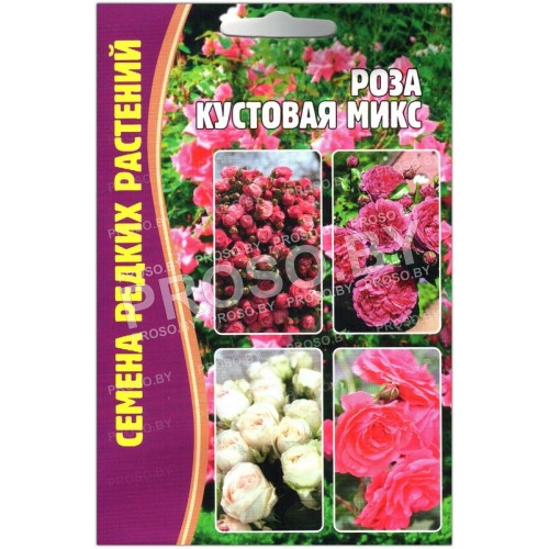Роза кустовая Микс
