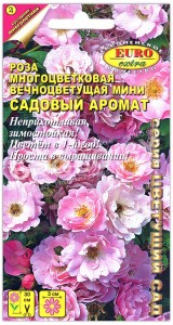 Роза многоцветковая мини Садовый аромат