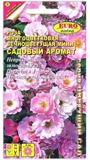 Роза многоцветковая мини Садовый аромат
