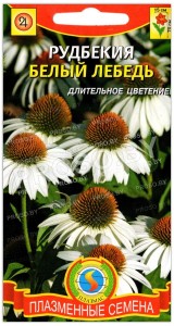Рудбекия Белый лебедь