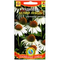 Рудбекия Белый лебедь