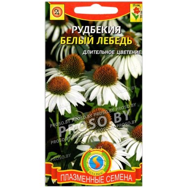 Рудбекия Белый лебедь