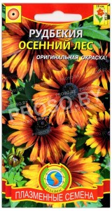 Рудбекия Осенний лес